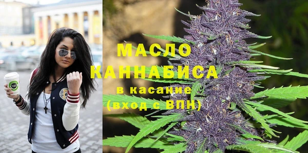 соль ск Краснослободск