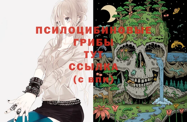 дживик Козловка
