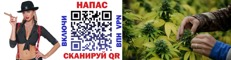 Канабис ГИДРОПОН  Называевск 
